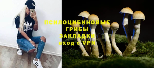сатива Алексеевка