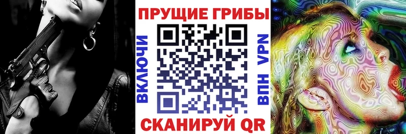 Псилоцибиновые грибы GOLDEN TEACHER  Махачкала 