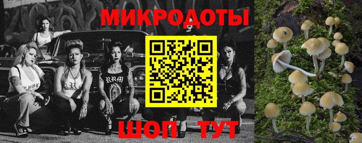 Галлюциногенные грибы мицелий Махачкала