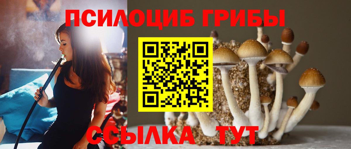 Псилоцибиновые грибы Magic Shrooms  Вход с VPN  Махачкала  сколько стоит  Галлюциногенные грибы прущие грибы 
